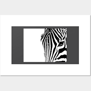 Zebra Eye Posters and Art